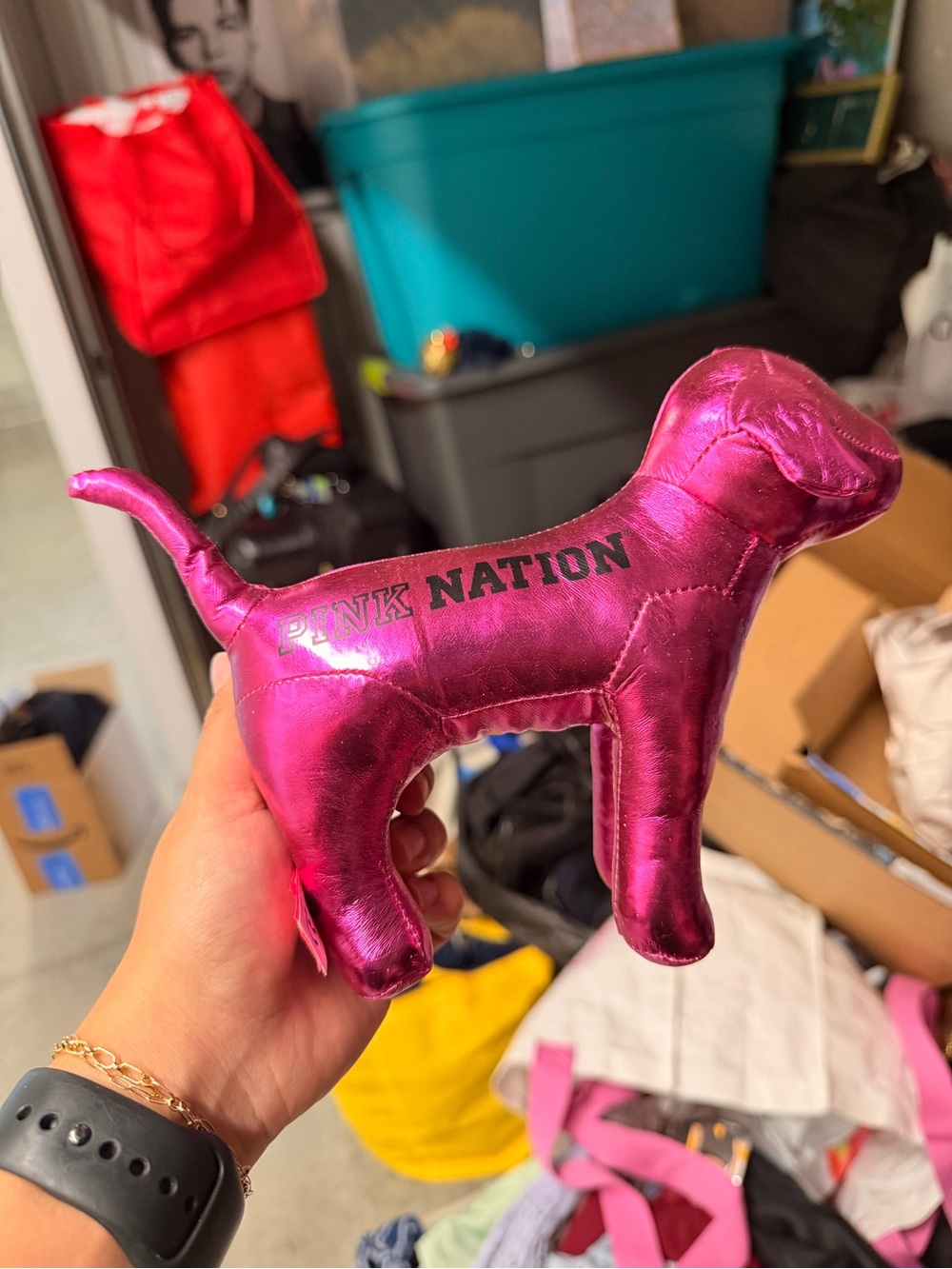 Victoria secret pink dog